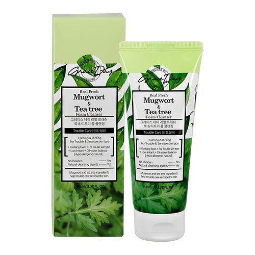 Пенка для умывания с экстрактами полыни и чайного дерева GRACE DAY Real Fresh Mugwort & Tea Tree Foam Cleanser