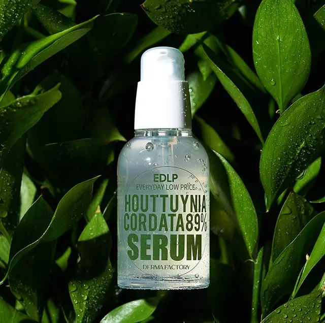 Сыворотка для лица с экстрактом цветка хауттюйнии Derma Factory Houttuynia Cordata 89% Serum